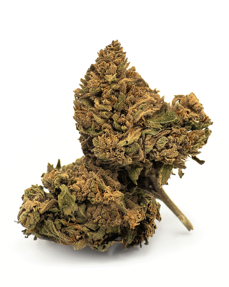 Cheese ext small bud 10g