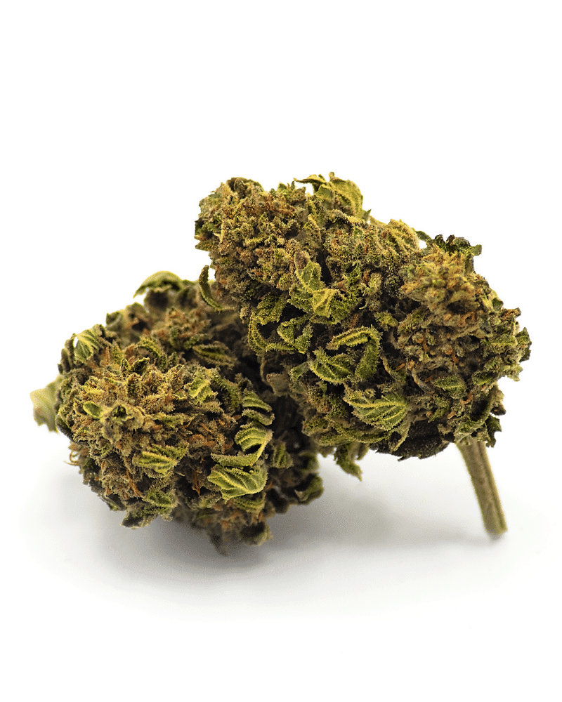 Mango Kush small bud 10g