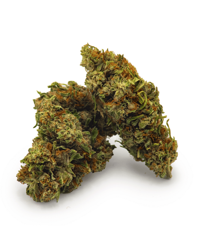 Gélato ext small bud 10g