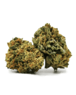 Hawaïan Skunk small bud 10g
