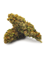 Orange Bud Extérieure small bud 10g