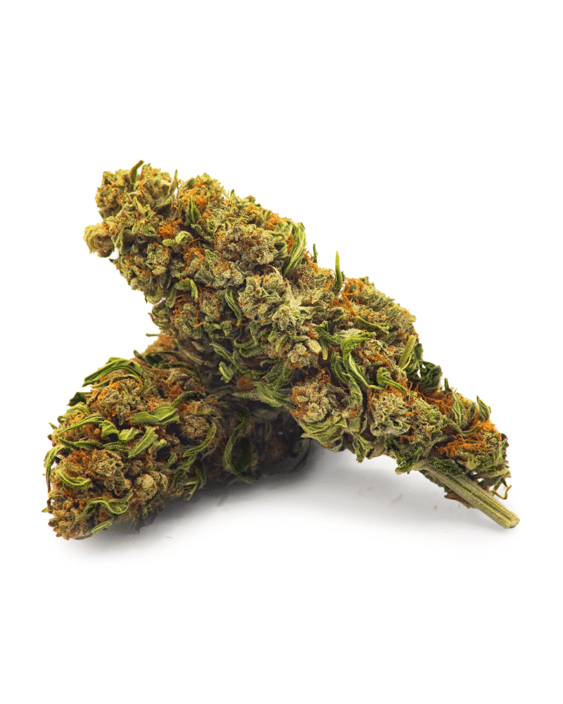 Orange Bud Extérieure small bud 10g