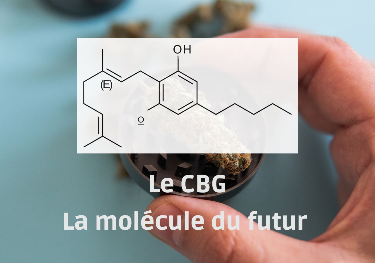 Le_CBG_la_molécule_du_futur