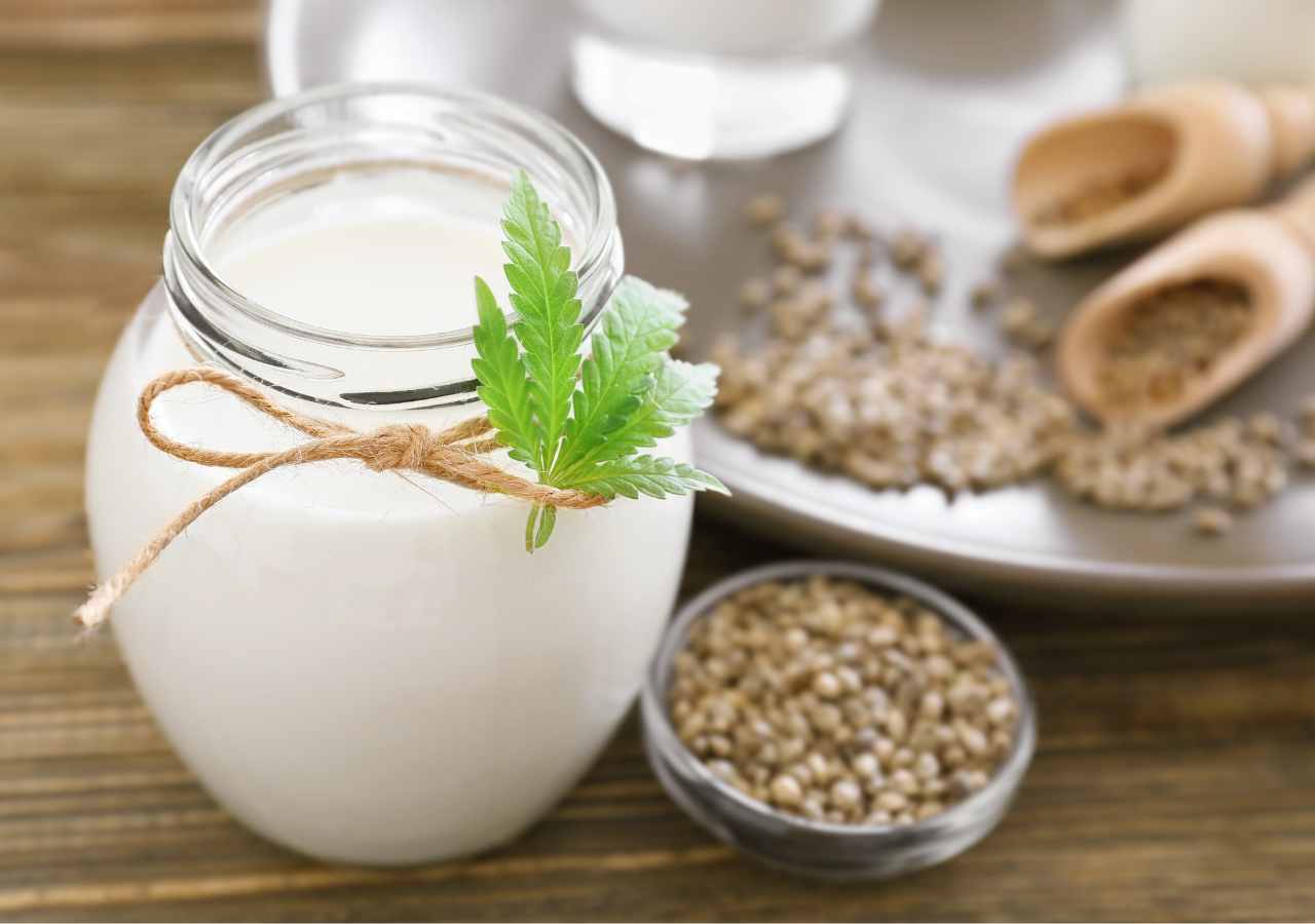 Guide complet sur le lait de chanvre : Bienfaits et recette maison