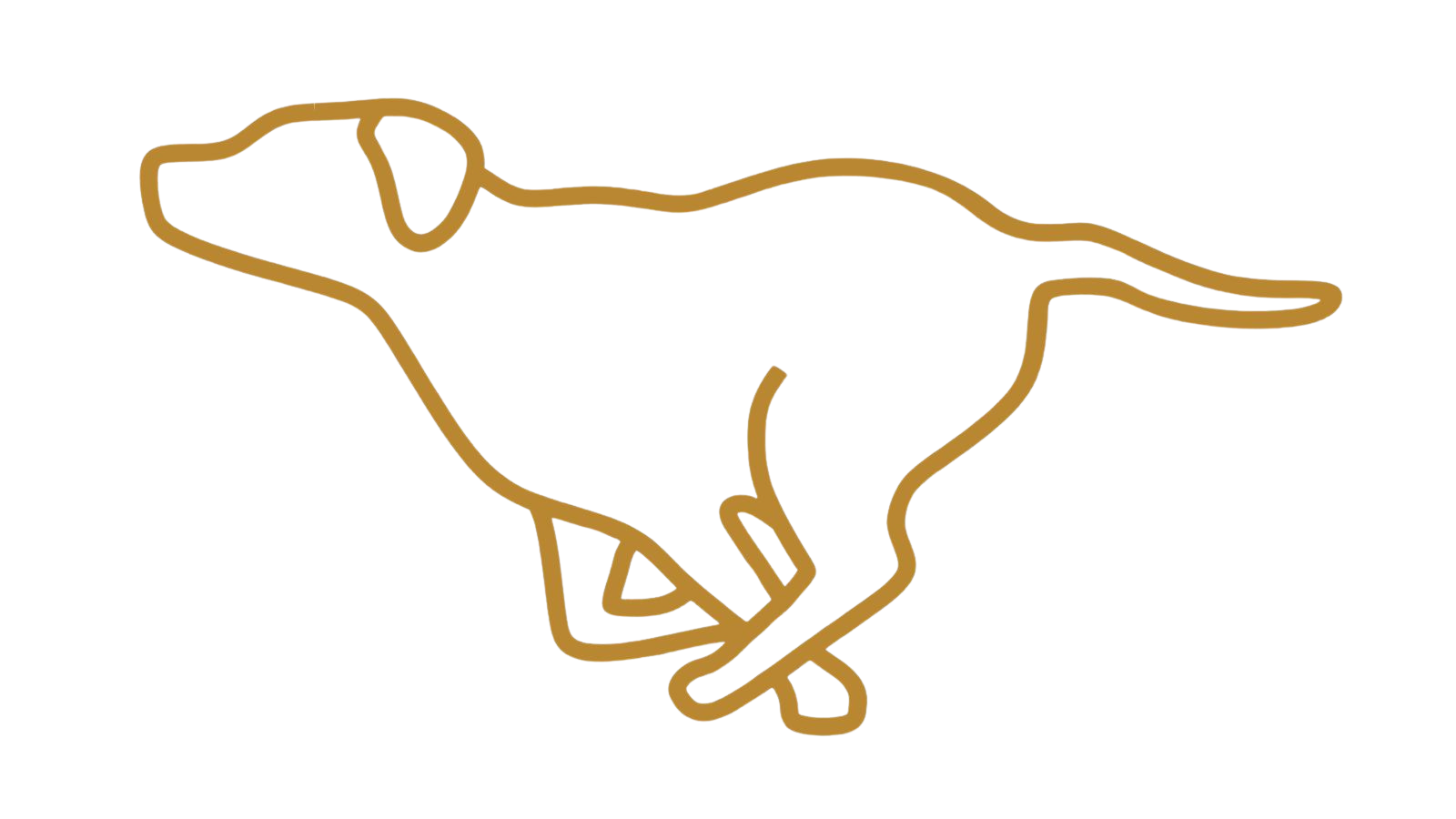 on-site dog run icon